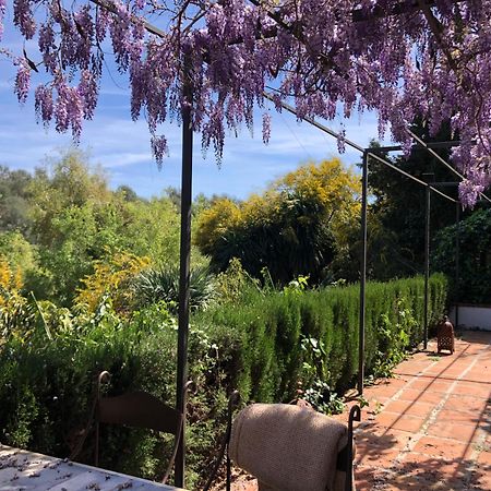 A natural retreat Mijas Exterior foto