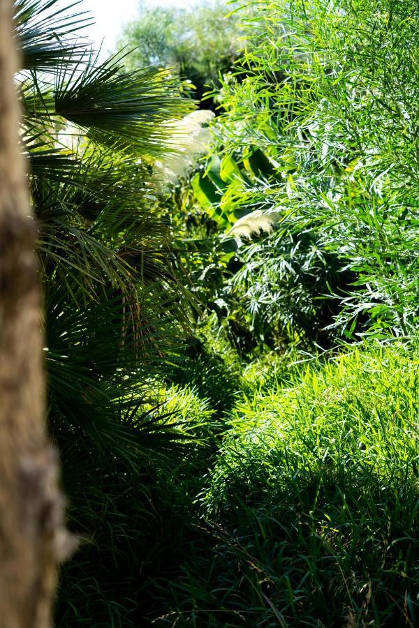 A natural retreat Mijas Exterior foto